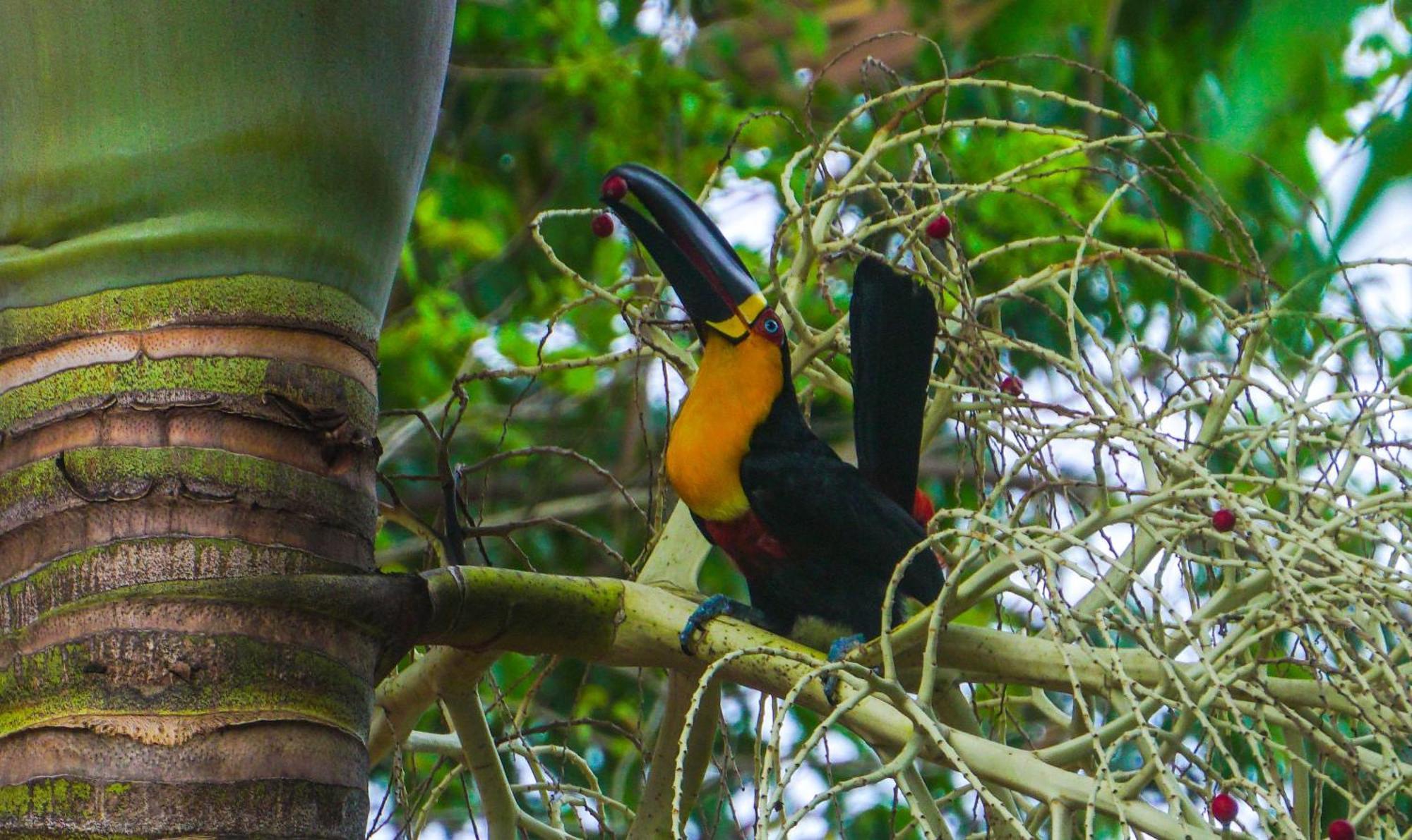 Pousada Do Moca Florianopolis Ngoại thất bức ảnh